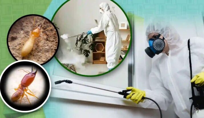 Ant Pest Control Services in Patna